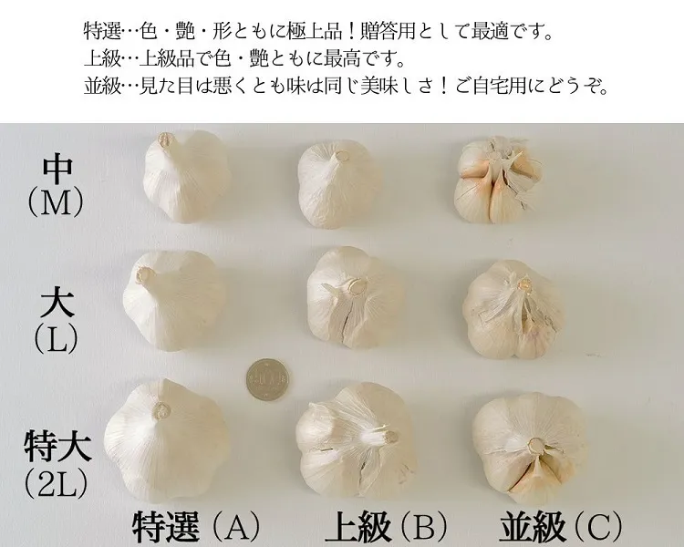 にんにくサイズ等級比較