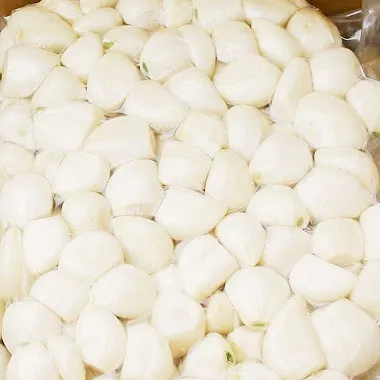 業務用】青森県産むきにんにくヘタ切り【10kg/1箱入】｜岡崎商店
